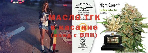 индика Медногорск