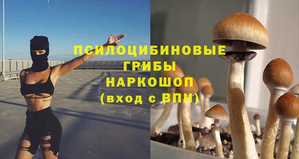 бутират Алексеевка