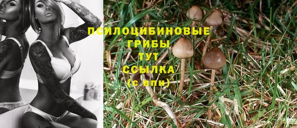 СК Алексин