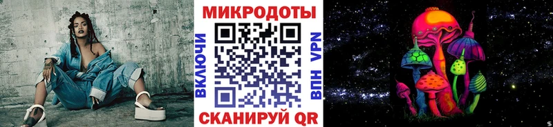 Галлюциногенные грибы Psilocybine cubensis  Пучеж 